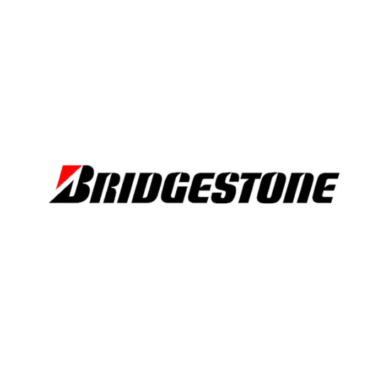 MARCA DE NEUMÁTICOS BRIDGESTONE