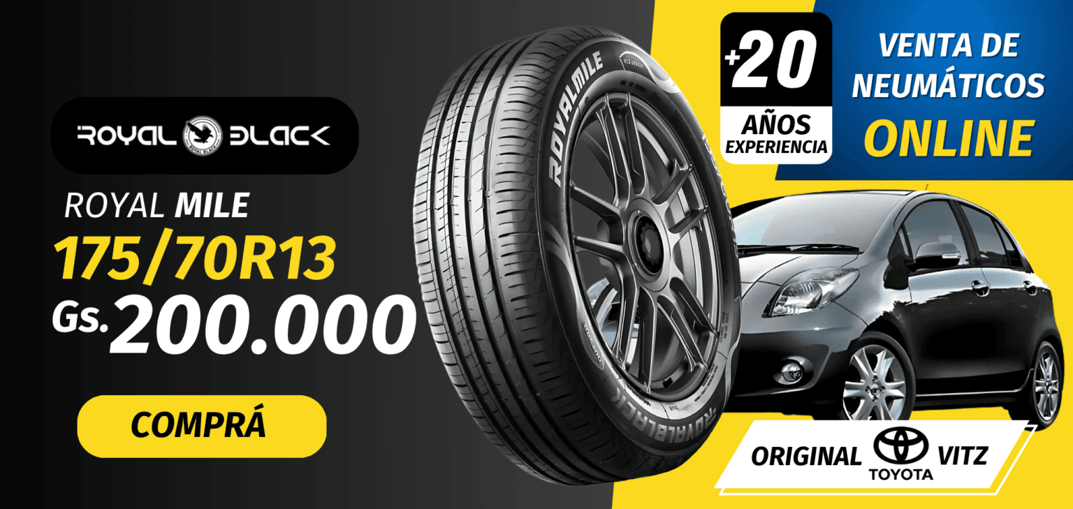 MODELO DE NEUMÁTICO Y AUTO VENTA NEUMÁTICOS PROMOCIÓN