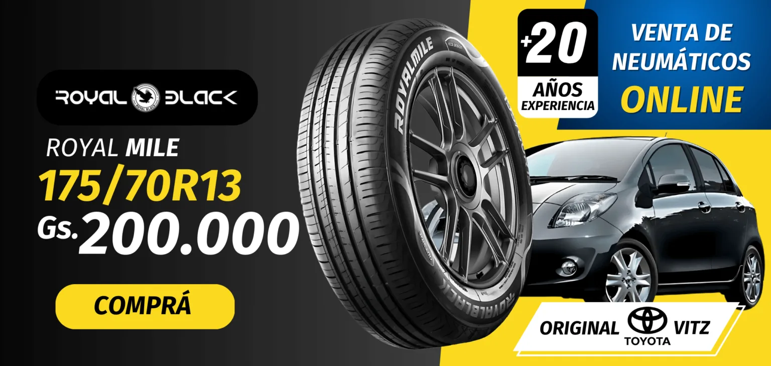 MODELO DE NEUMÁTICO Y AUTO VENTA NEUMÁTICOS PROMOCIÓN